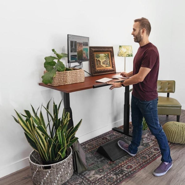 Best 2024 Standing Desks & Converter Selection by Phil Zen