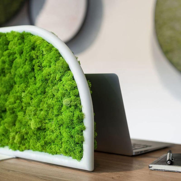 g-desk-moss-acoustic-panels-
