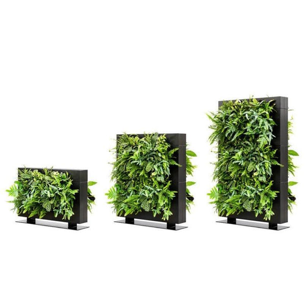 Live Divider Plus Plant Smart Wall Partition | Suite Plants by Phil Zen