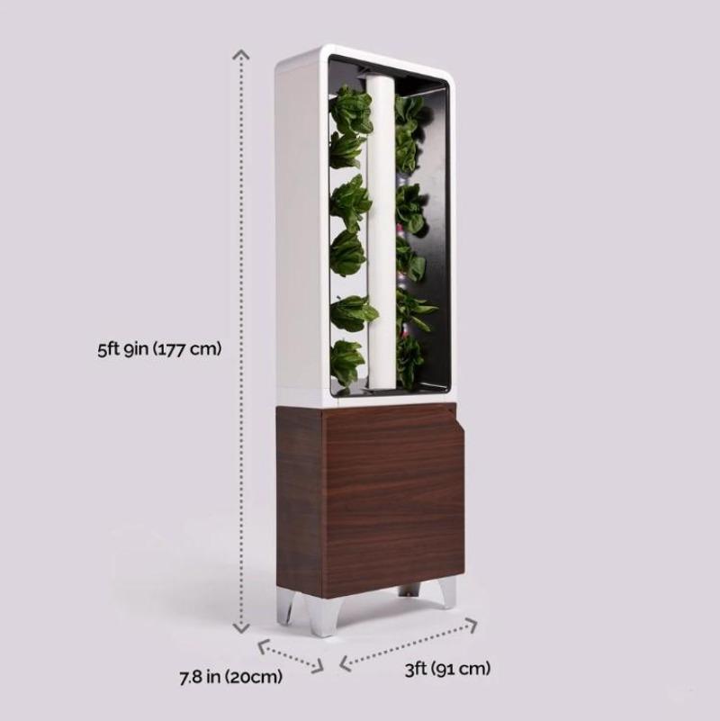 The EVE Small Easy Indoor Garden - Best 2023 Home Office Chairs Desk &amp; Decor