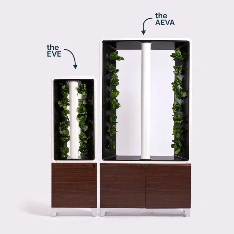 The EVE Small Easy Indoor Garden - Best 2023 Home Office Chairs Desk &amp; Decor