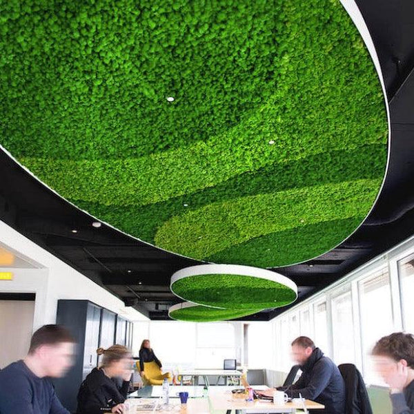 9 Offices With Biophilic Designs by Phil Zen