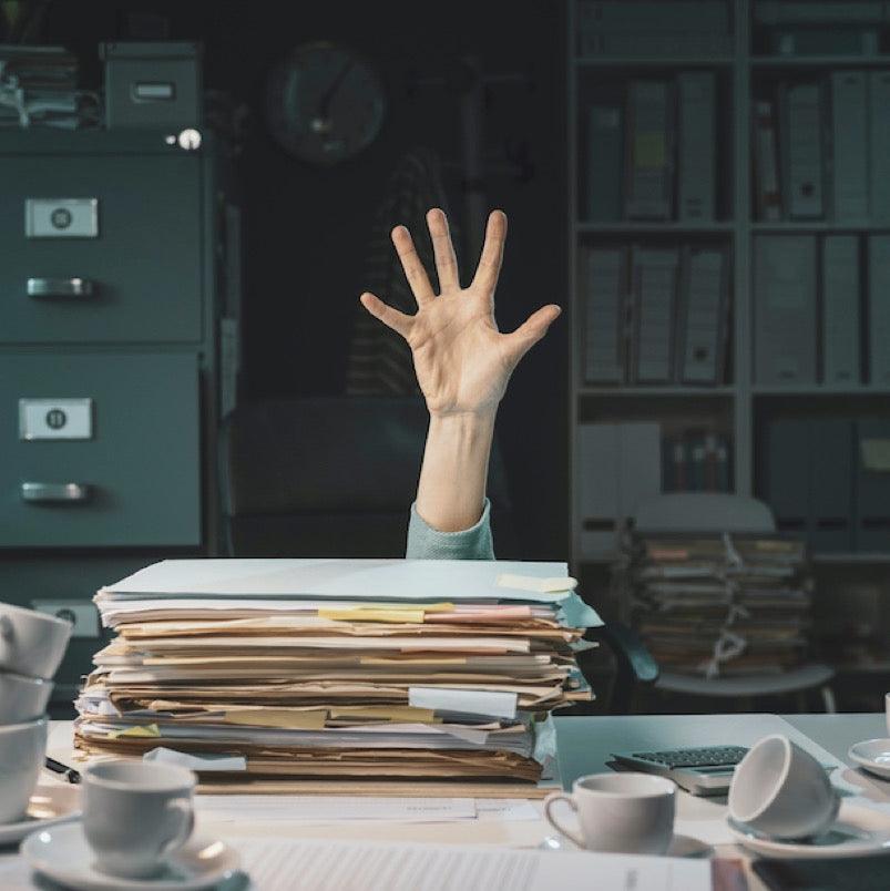 Which Office Chair Should I buy? 10-Second Quiz - Phil Zen Design  - Best 2023 Home Office Chairs Desk & Decor