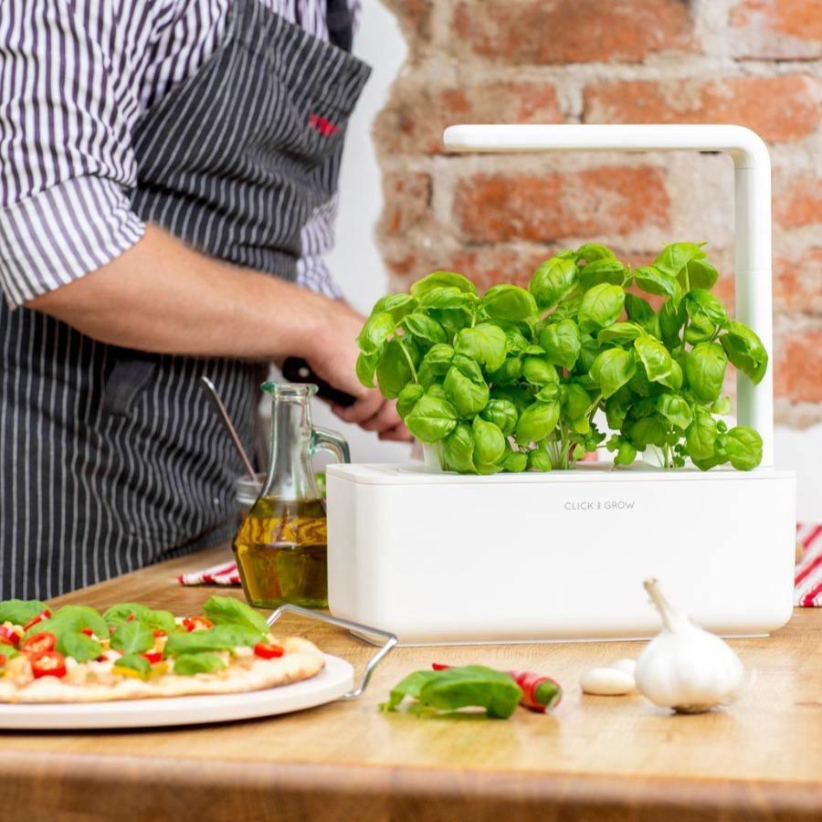 Click & Grow - Phil Zen Design  - Best 2023 Home Office Chairs Desk & Decor