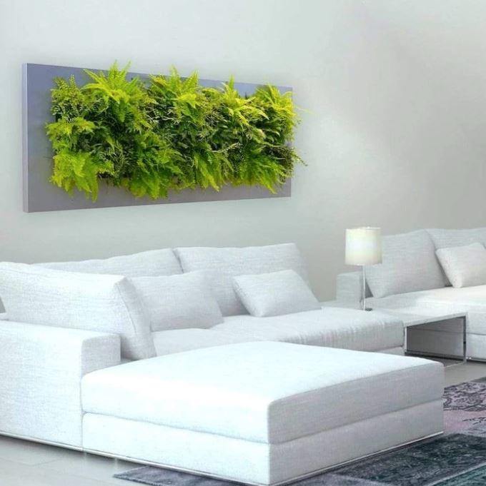 Suite Plants - Phil Zen Design  - Best 2023 Home Office Chairs Desk & Decor