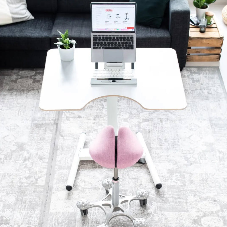 Best Seller Salli work desk ergonomic workplace setup 2026