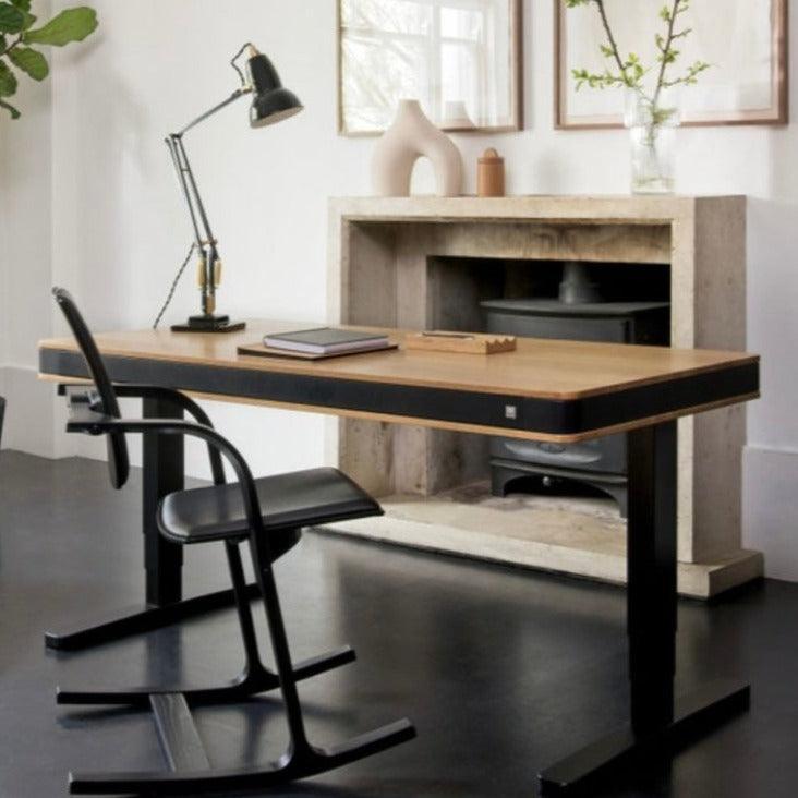 Actulum Balans - Best 2023 Home Office Chairs Desk &amp; Decor