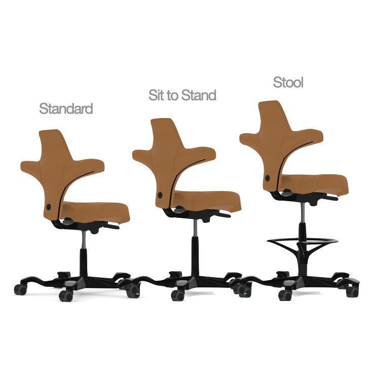 Capisco Saddle - Best 2023 Home Office Chairs Desk &amp; Decor