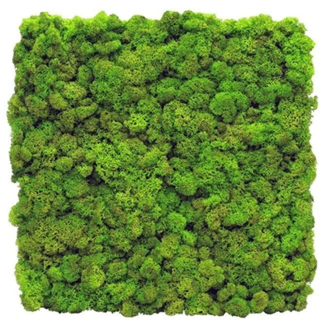 Easy Moss Tile 12" x 12" packs - Best 2023 Home Office Chairs Desk & Decor