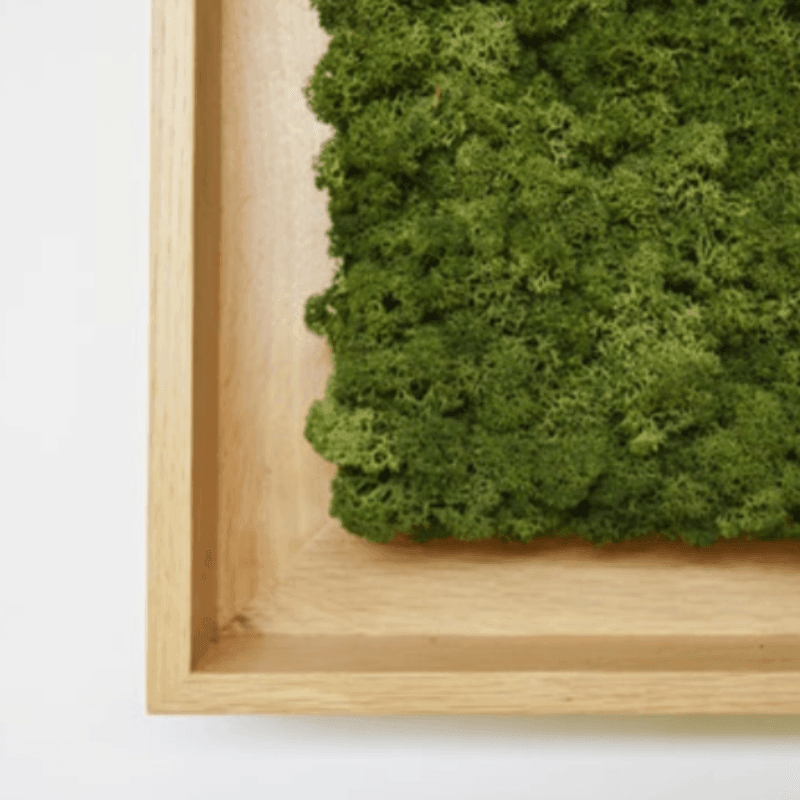 Framed - Best 2023 Home Office Chairs Desk & Decor