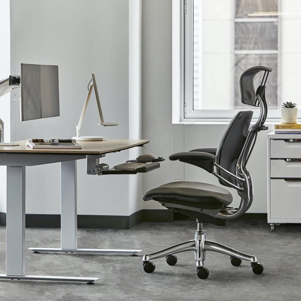 Zen Office Chair 4D Armrests, 2D Headrest, Lumbar Support and Seat Sli –  Neatfi