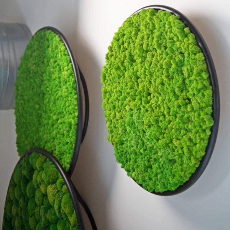 G-Circle Moss Acoustic Panels - Best 2023 Home Office Chairs Desk & Decor