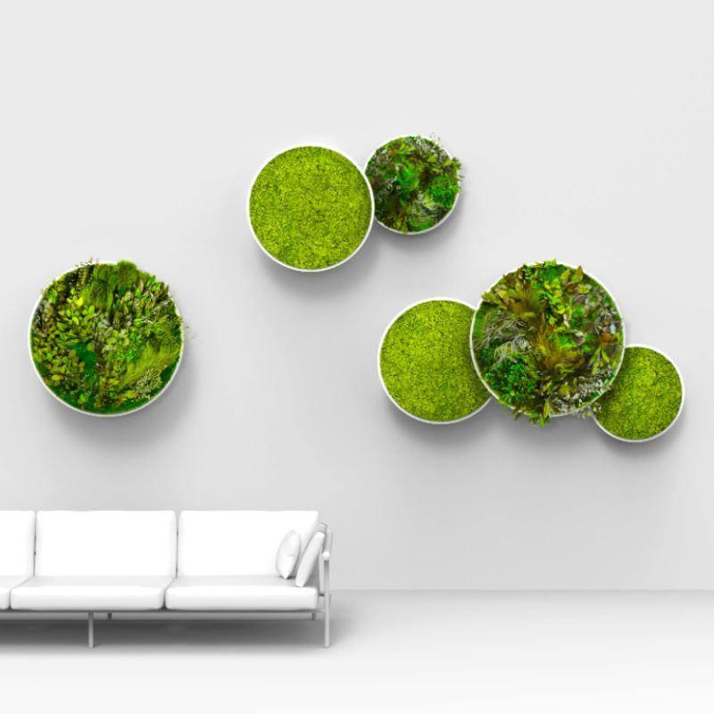 G-Circle Preserved Moss Acoustic Panels I GreenMOOD by Phil Zen