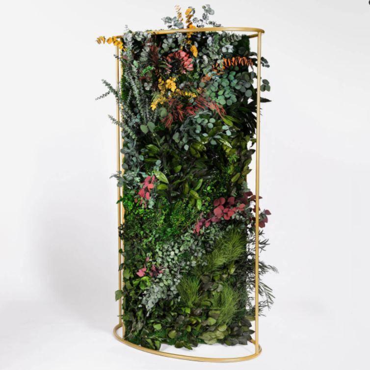 Preserve Moss Wall Medium I Suite Plant by Phil Zen