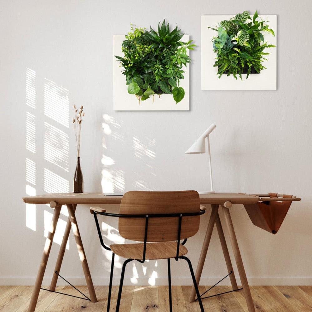 Live Picture Go Plant Frame - Best 2023 Home Office Chairs Desk &amp; Decor