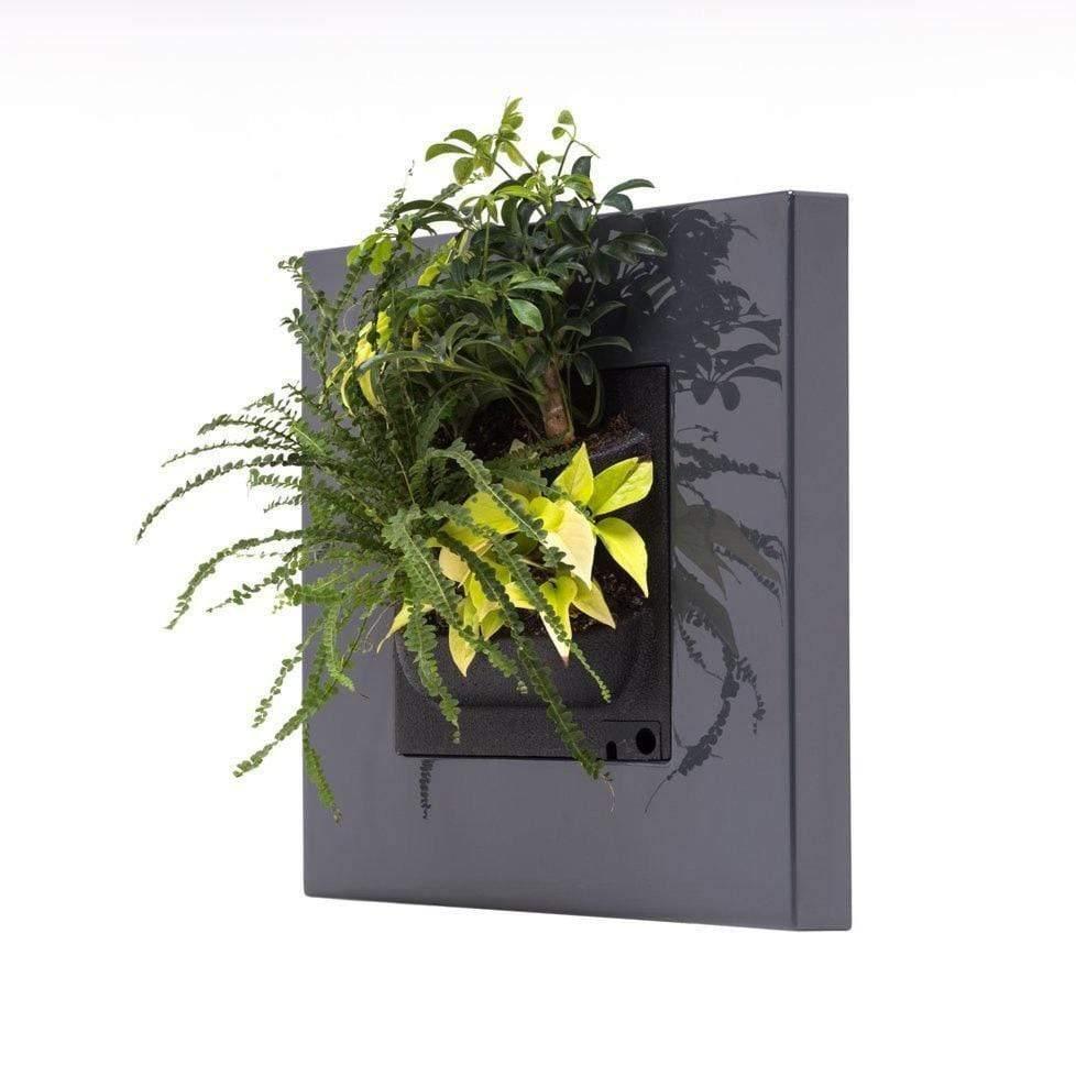 Live Picture Go Plant Frame - Best 2023 Home Office Chairs Desk & Decor