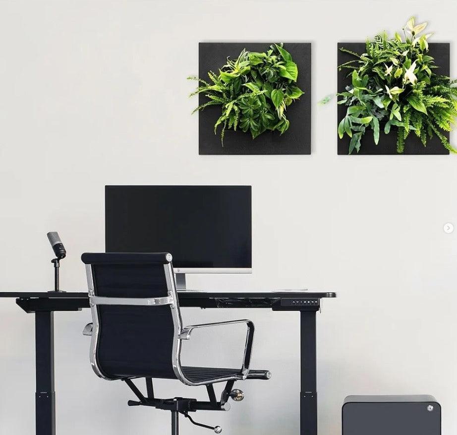 Live Picture Go Plant Frame - Best 2023 Home Office Chairs Desk &amp; Decor