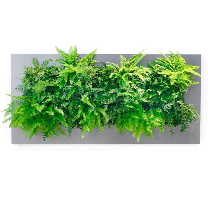 Live Picture Plant Frame - Best 2023 Home Office Chairs Desk & Decor