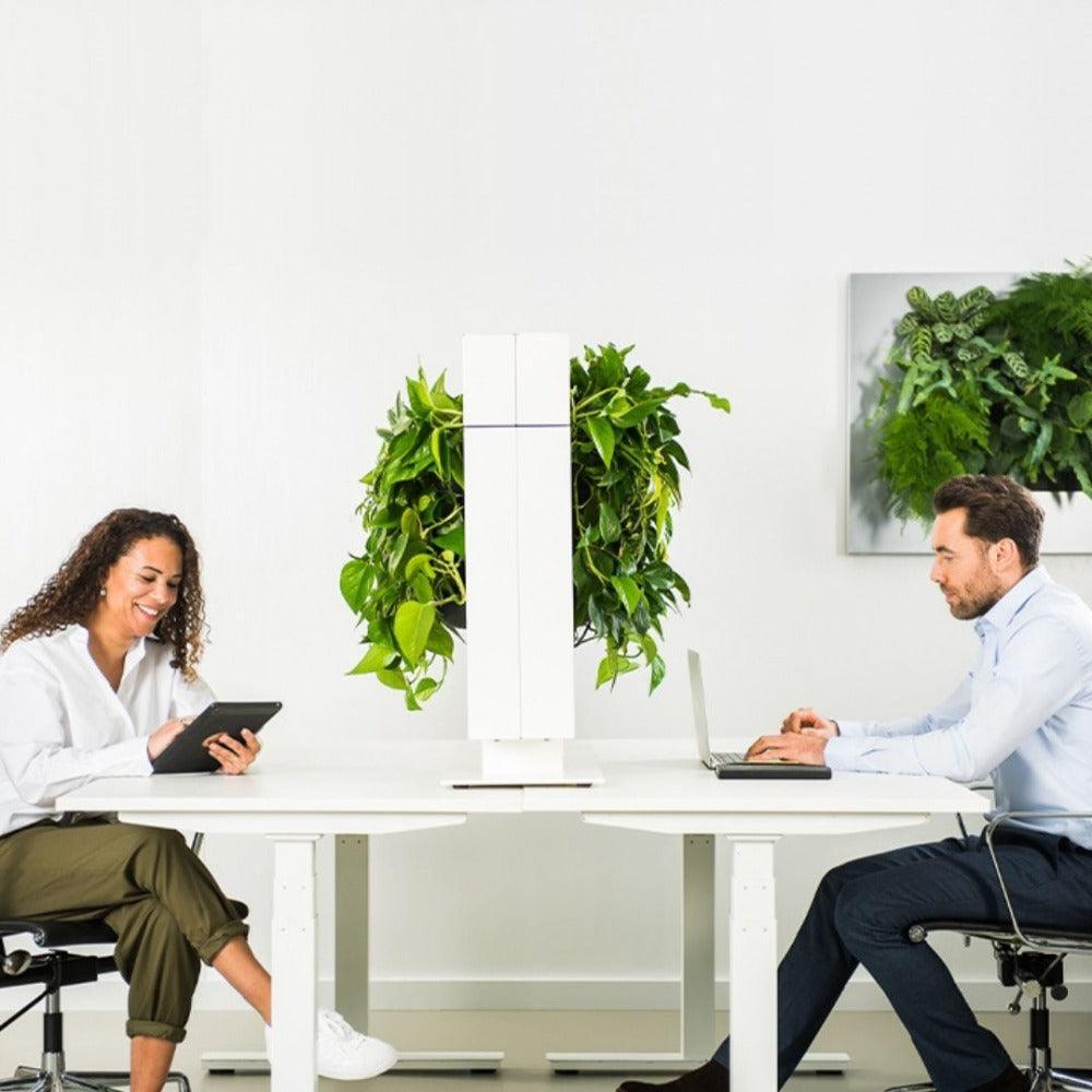 LiveDivider Plus- Plant Partition - Best 2023 Home Office Chairs Desk & Decor