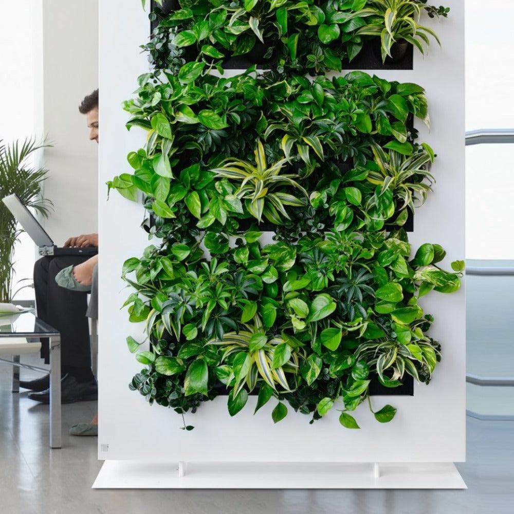 plant divider wall indoor Live Divider Plus Plant Smart Wall Partition