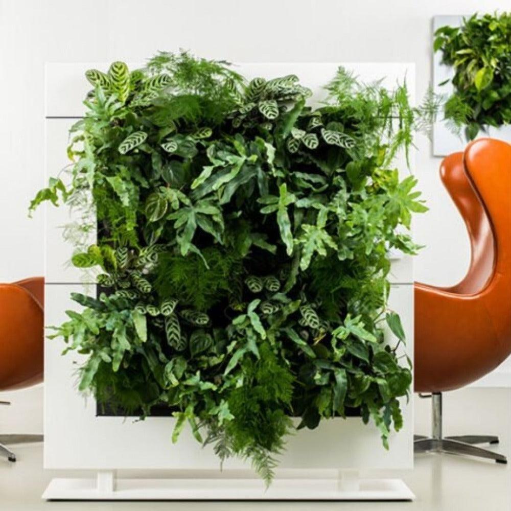 LiveDivider Plus- Plant Partition - Best 2023 Home Office Chairs Desk &amp; Decor
