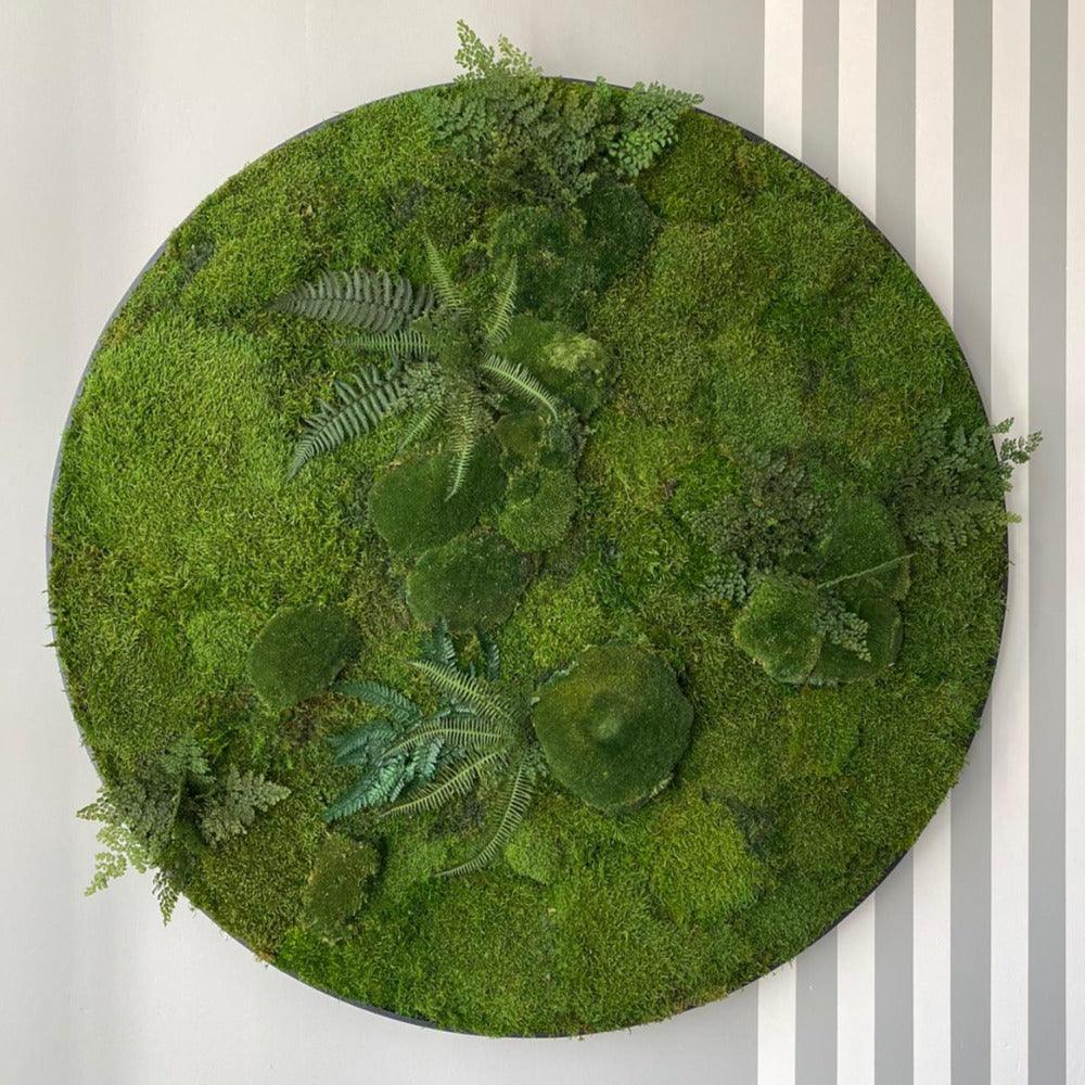 Moss Circles - Best 2023 Home Office Chairs Desk & Decor