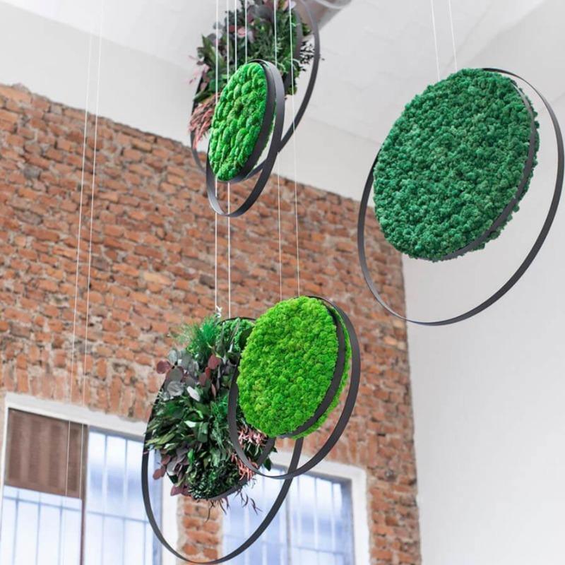 Ring Moss Acoustic Suspensions - Best 2023 Home Office Chairs Desk & Decor