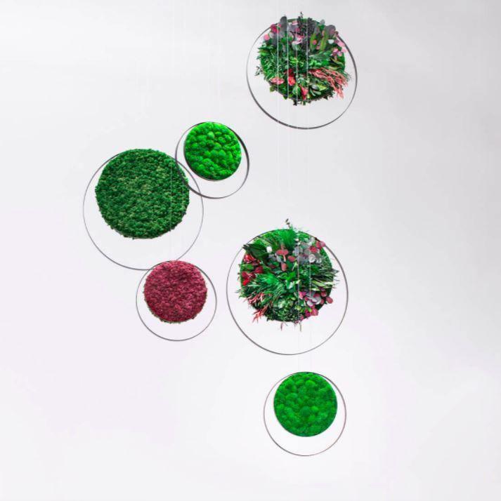 Ring Moss Acoustic Suspensions - Best 2023 Home Office Chairs Desk & Decor