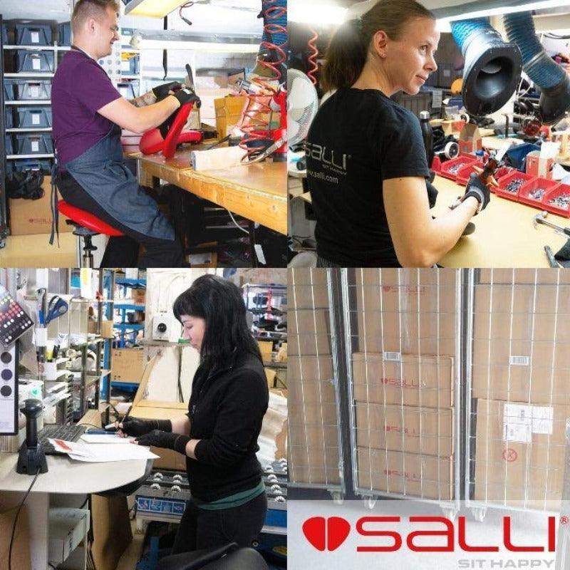 Salli Classic - Best 2023 Home Office Chairs Desk &amp; Decor