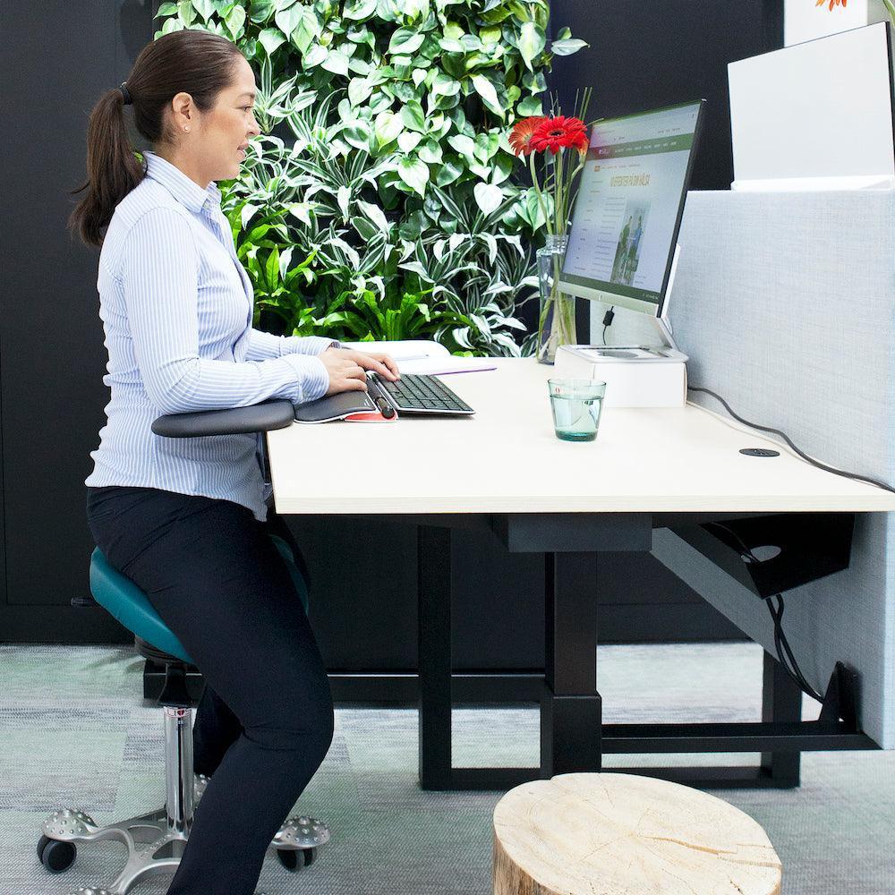 Salli Classic - Best 2023 Home Office Chairs Desk & Decor
