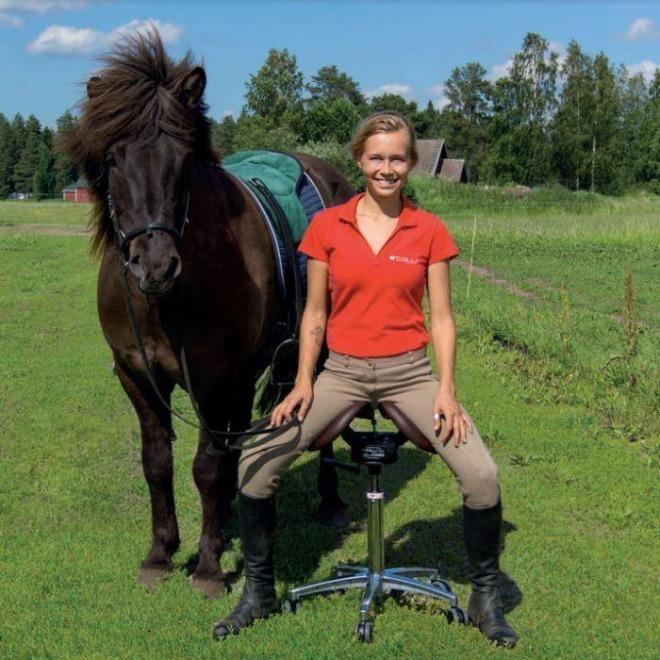 Salli Nature - Best 2023 Home Office Chairs Desk & Decor