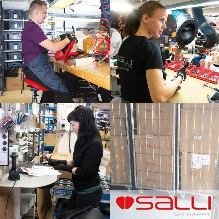 Salli Premium - Best 2023 Home Office Chairs Desk &amp; Decor