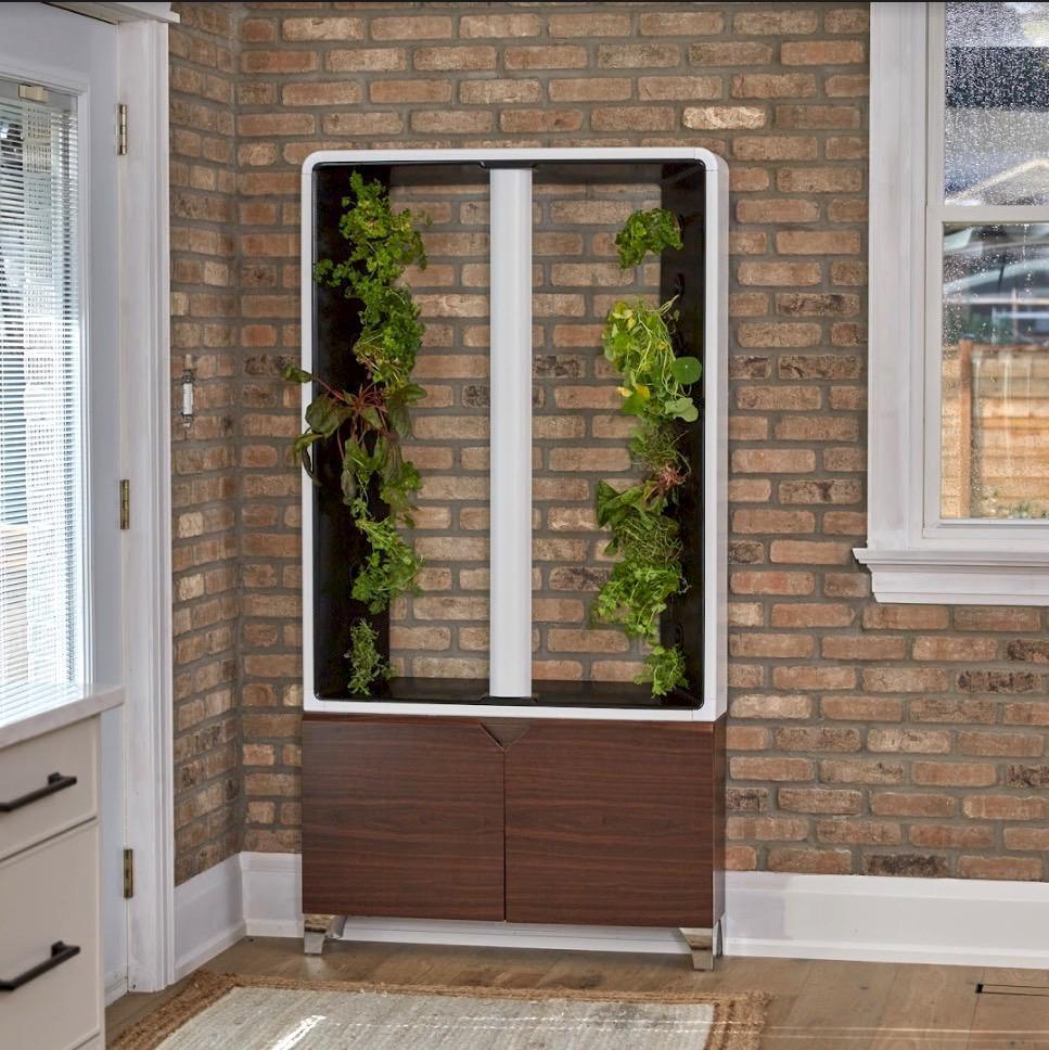 The AEVA Indoor Garden - Best 2023 Home Office Chairs Desk & Decor