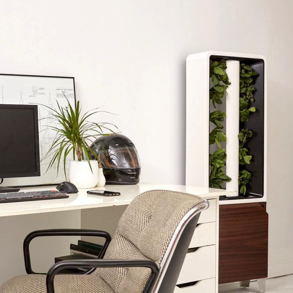 The EVE Small Easy Indoor Garden - Best 2023 Home Office Chairs Desk & Decor