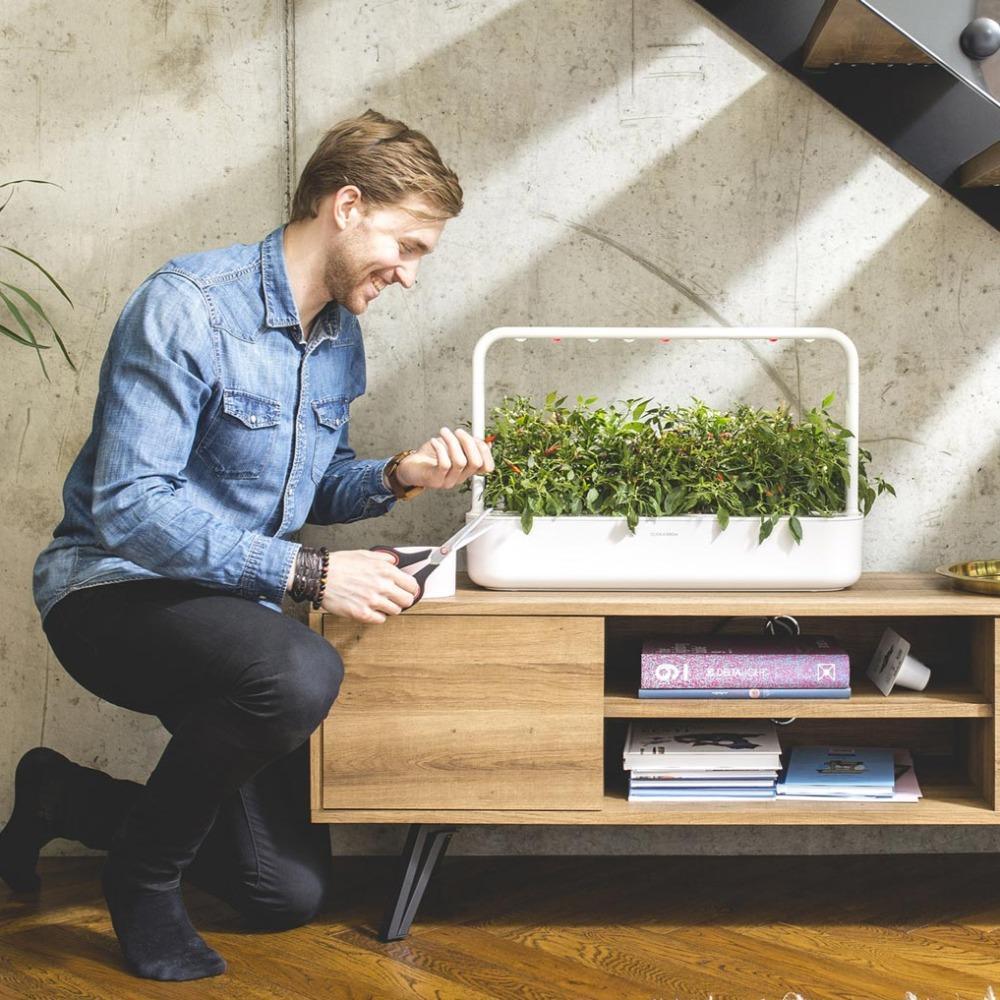 The Smart Garden 9 - Best 2023 Home Office Chairs Desk &amp; Decor